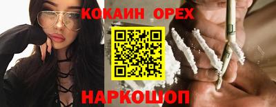 jwh Бийск